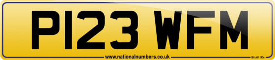 P123 WFM
