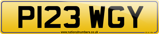 P123 WGY