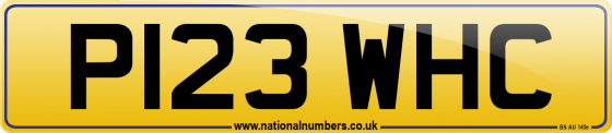 P123 WHC