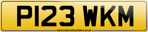 P123 WKM