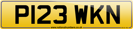 P123 WKN