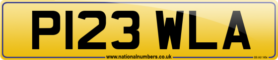 P123 WLA