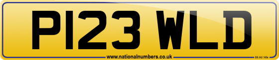 P123 WLD