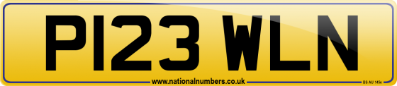 P123 WLN
