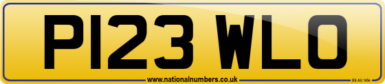 P123 WLO
