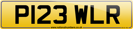 P123 WLR