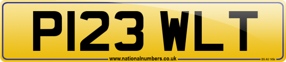 P123 WLT