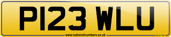 P123 WLU