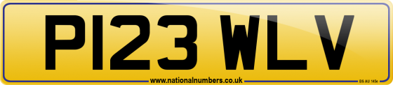 P123 WLV