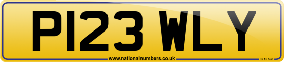 P123 WLY