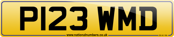P123 WMD