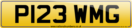 P123 WMG