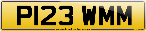 P123 WMM