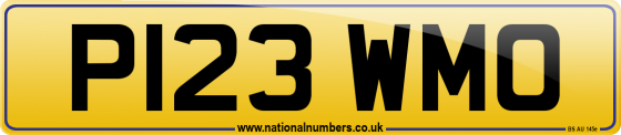 P123 WMO