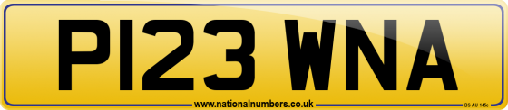 P123 WNA
