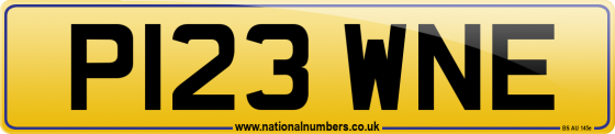P123 WNE