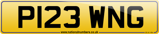 P123 WNG