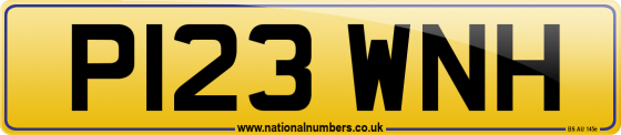 P123 WNH