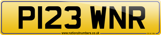 P123 WNR