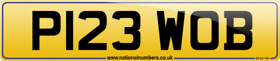 P123 WOB