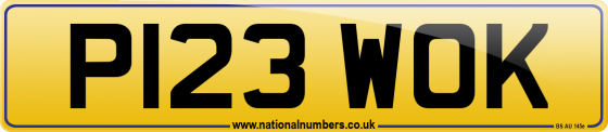 P123 WOK