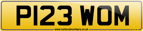 P123 WOM