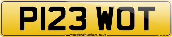 P123 WOT