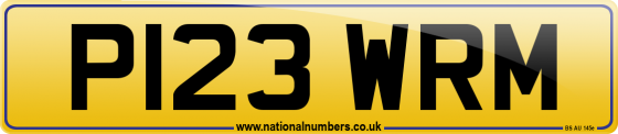 P123 WRM