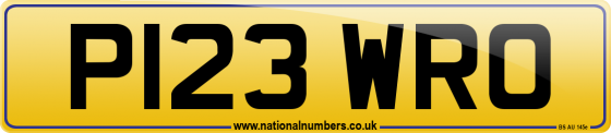 P123 WRO