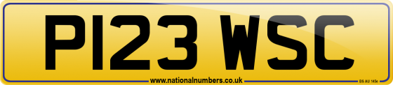P123 WSC