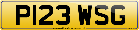 P123 WSG