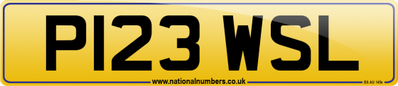 P123 WSL