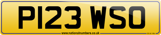 P123 WSO