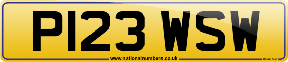 P123 WSW