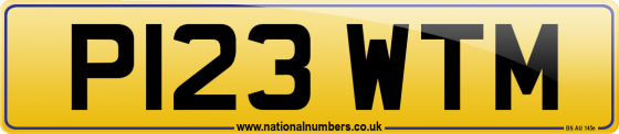 P123 WTM