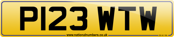 P123 WTW