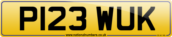 P123 WUK