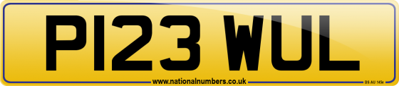 P123 WUL