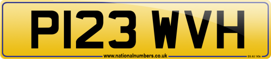 P123 WVH