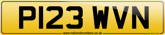 P123 WVN