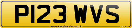 P123 WVS