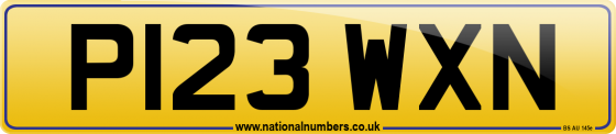 P123 WXN