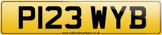 P123 WYB