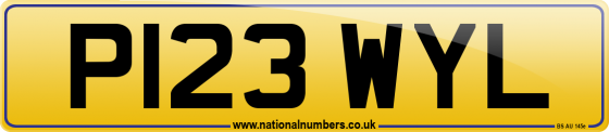 P123 WYL
