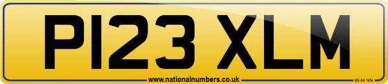 P123 XLM