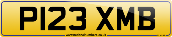 P123 XMB