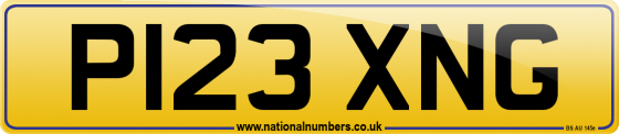 P123 XNG