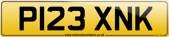 P123 XNK