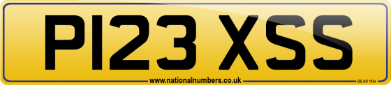 P123 XSS