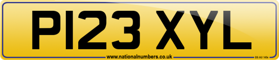 P123 XYL